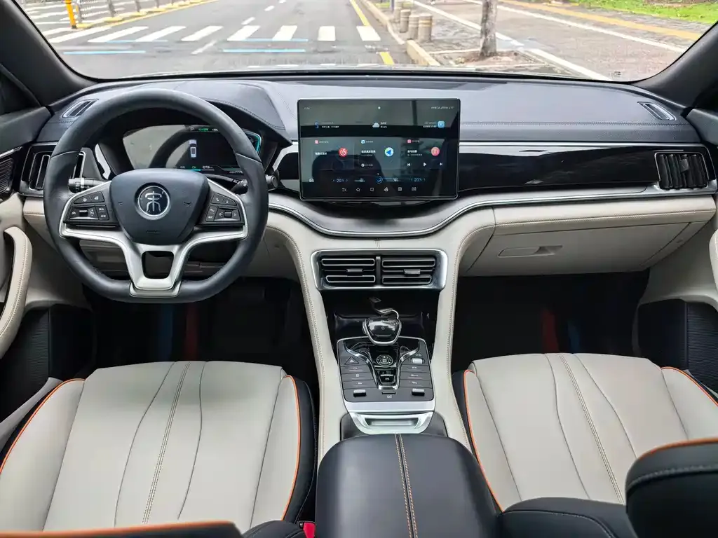 BYD PLUS New Energy — фото 4