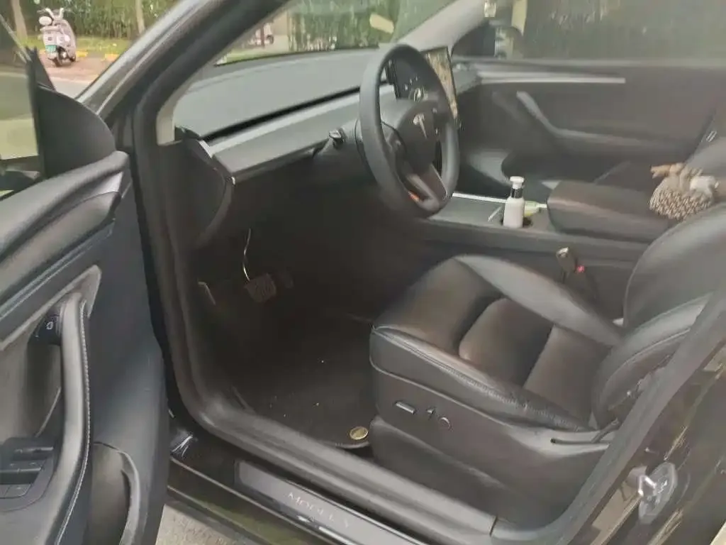 Tesla Model Y — фото 3