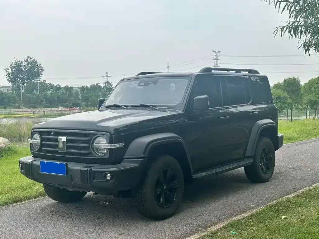 Tank 300