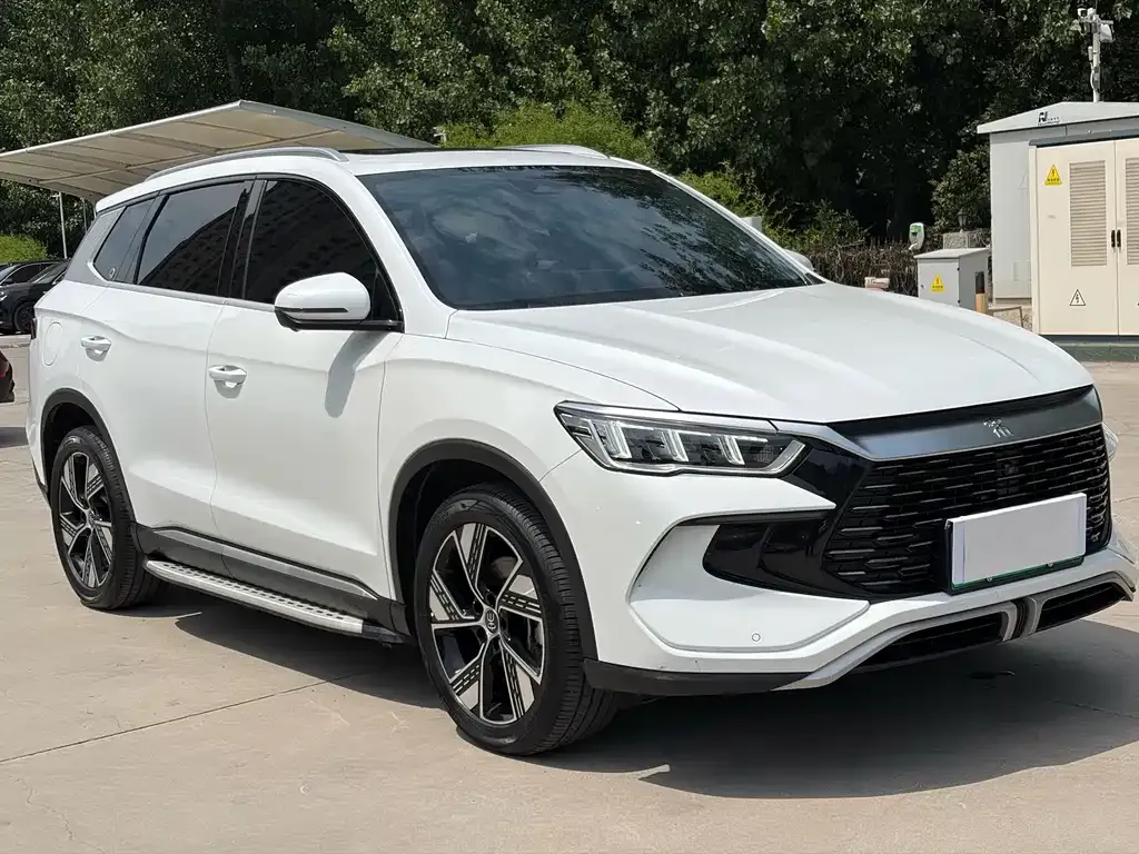 BYD Pro New Energy — фото 3