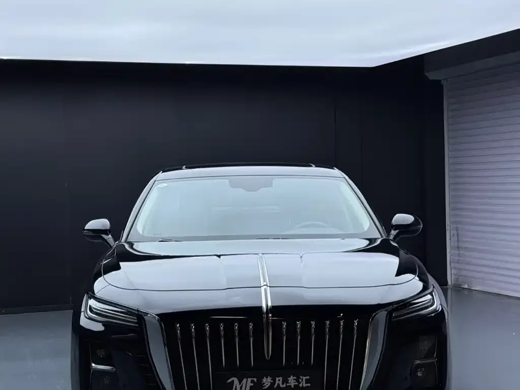 Hongqi H5 2024 из CN, фото 9