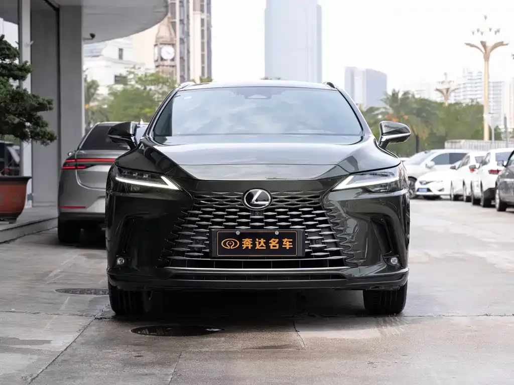 Lexus RX New Energy 2023 из CN, фото 8