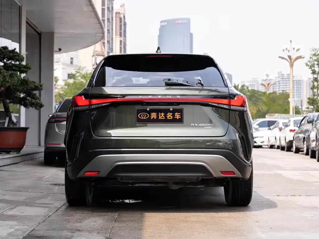 Lexus RX New Energy 2023 из CN, фото 10
