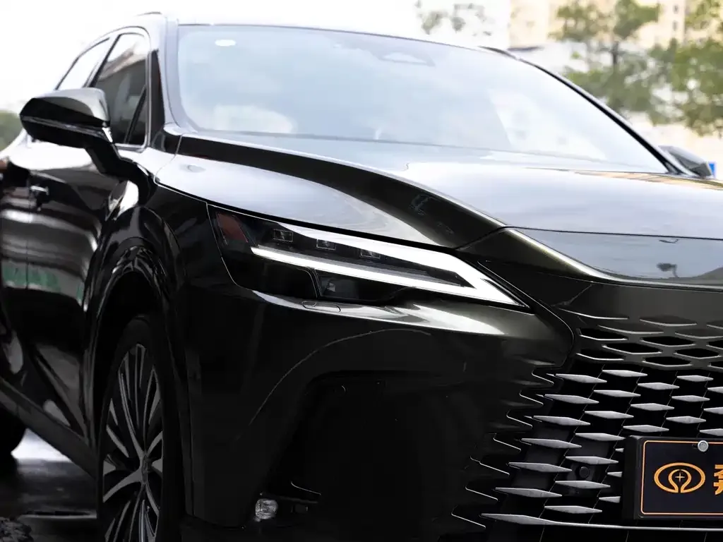 Lexus RX New Energy 2023 из CN, фото 6
