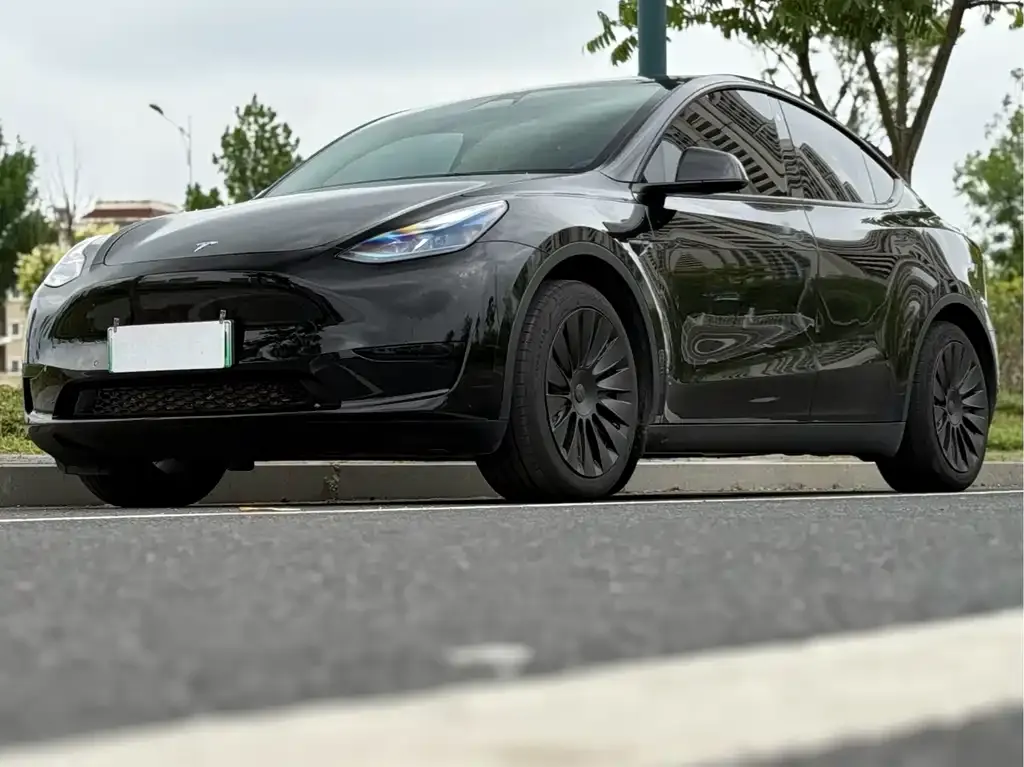 Tesla Model Y — фото 6
