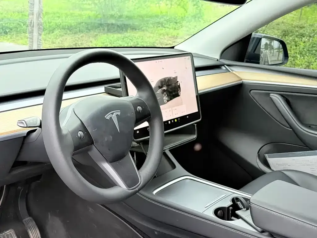 Tesla Model Y — фото 8