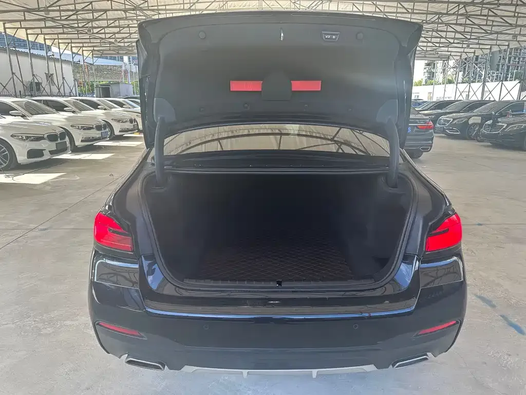 BMW 5 Series 2021 из CN, фото 9