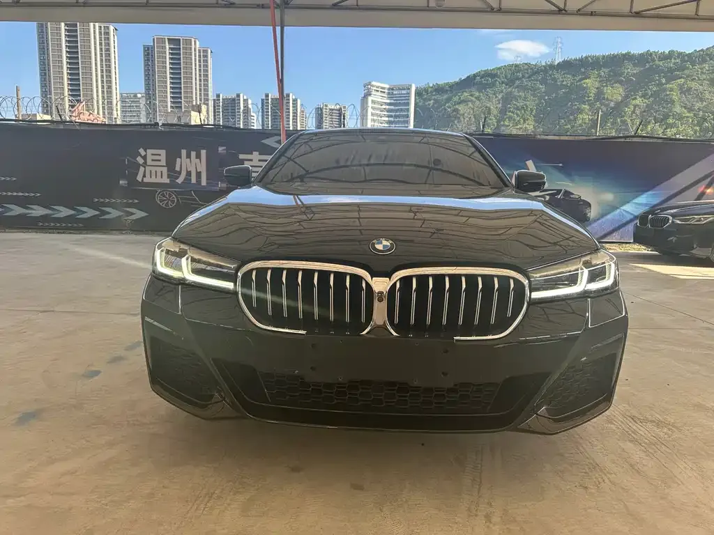 BMW 5 Series 2021 из CN, фото 4