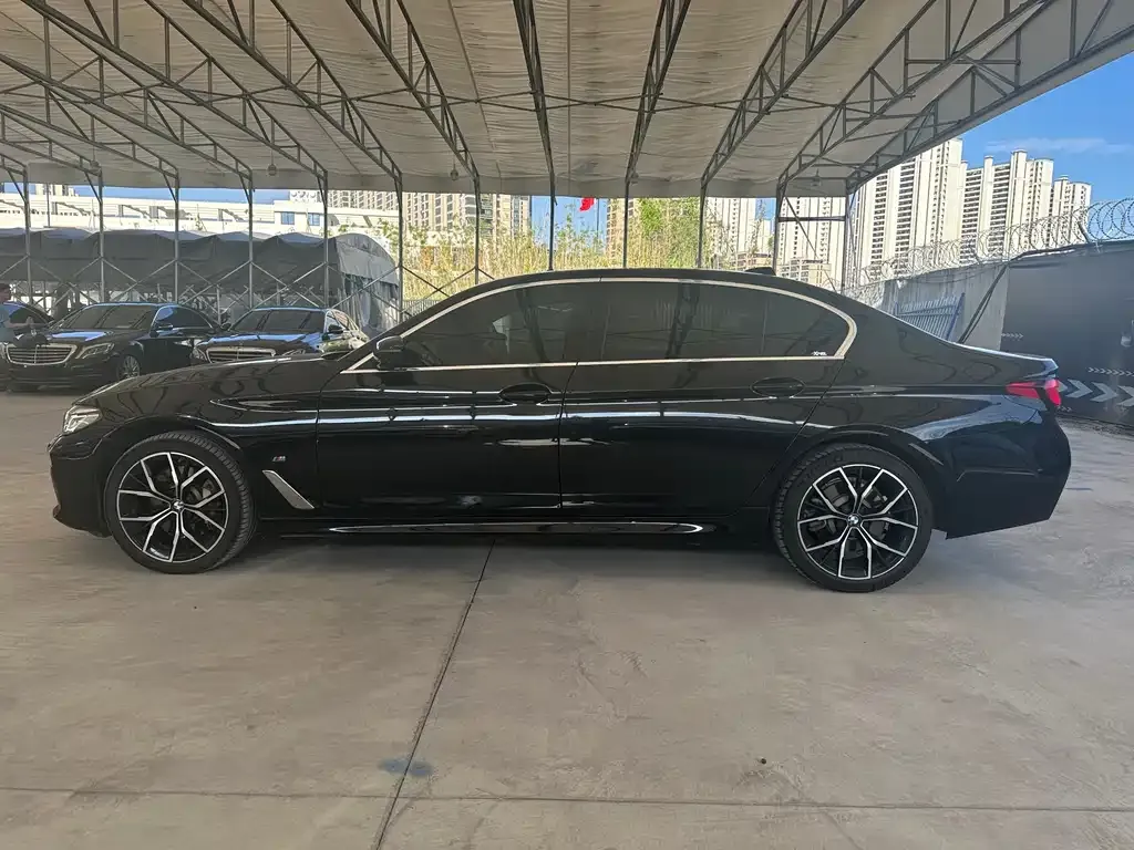 BMW 5 Series 2021 из CN, фото 6
