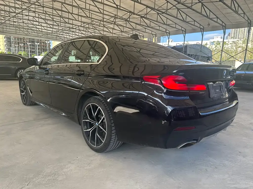 BMW 5 Series 2021 из CN, фото 5