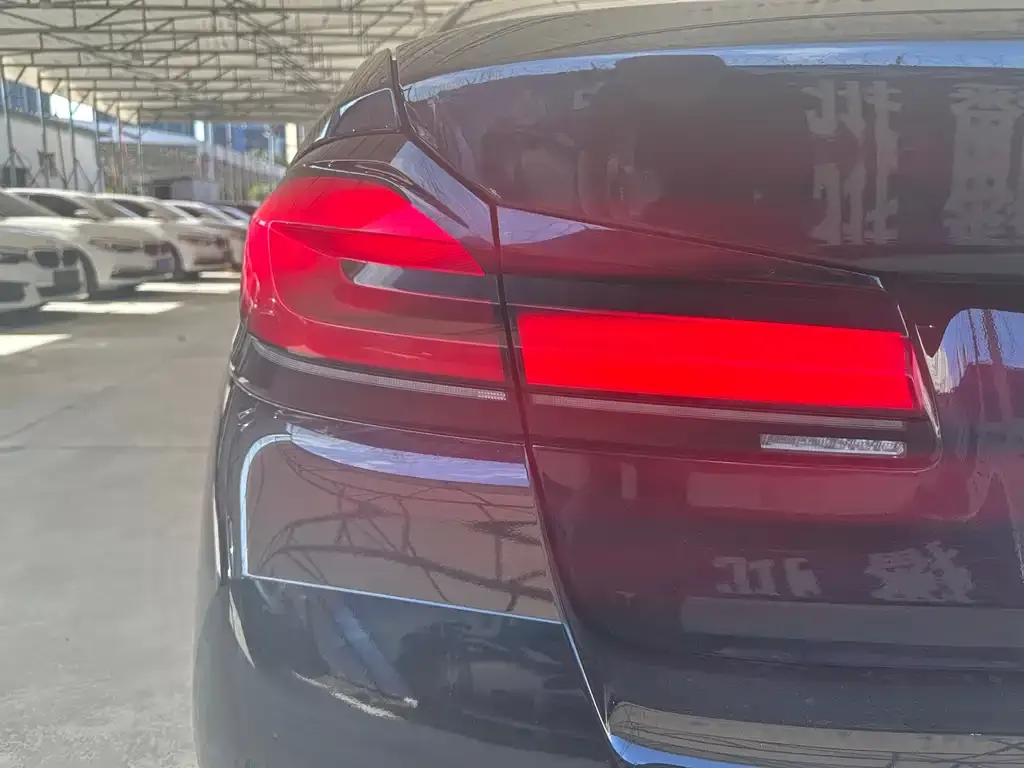 BMW 5 Series 2021 из CN, фото 7