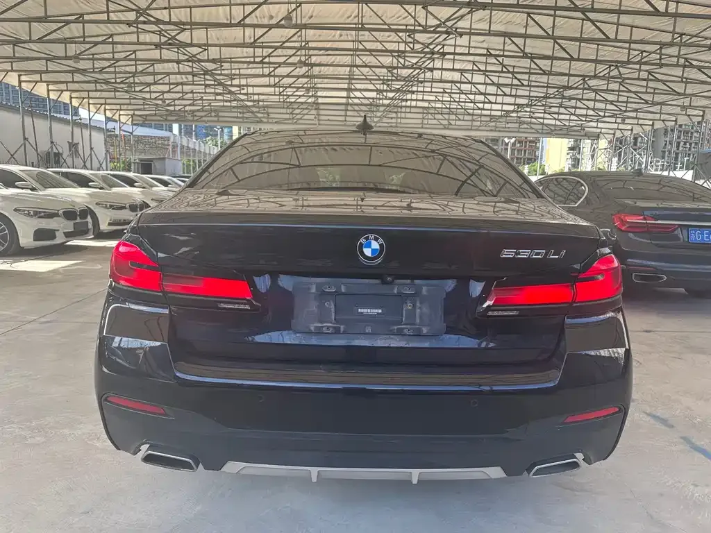 BMW 5 Series 2021 из CN, фото 8