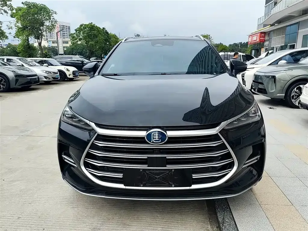 BYD Tang New Energy 2023 из CN, фото 3