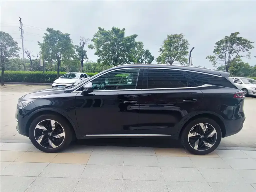 BYD Tang New Energy 2023 из CN, фото 4