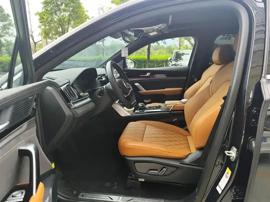 BYD Tang New Energy 2023 из CN, фото 5