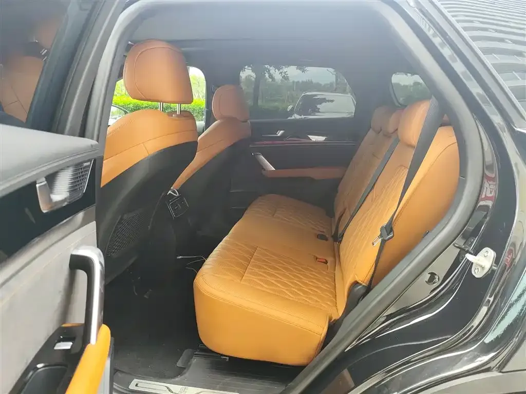 BYD Tang New Energy 2023 из CN, фото 7