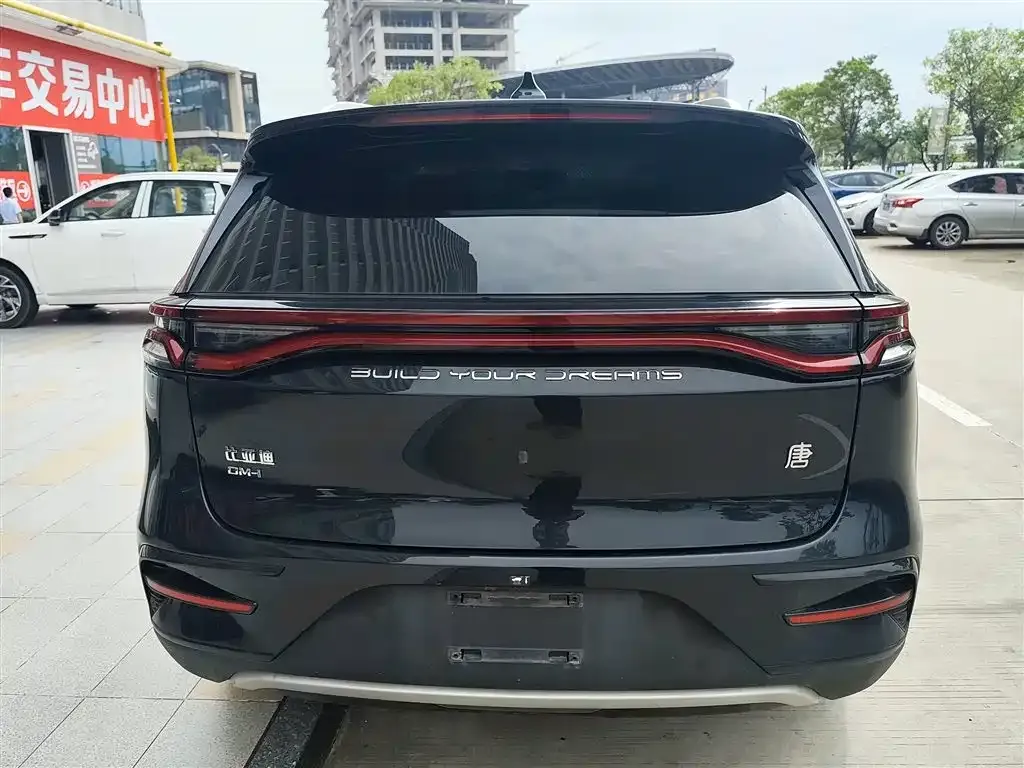 BYD Tang New Energy 2023 из CN, фото 8