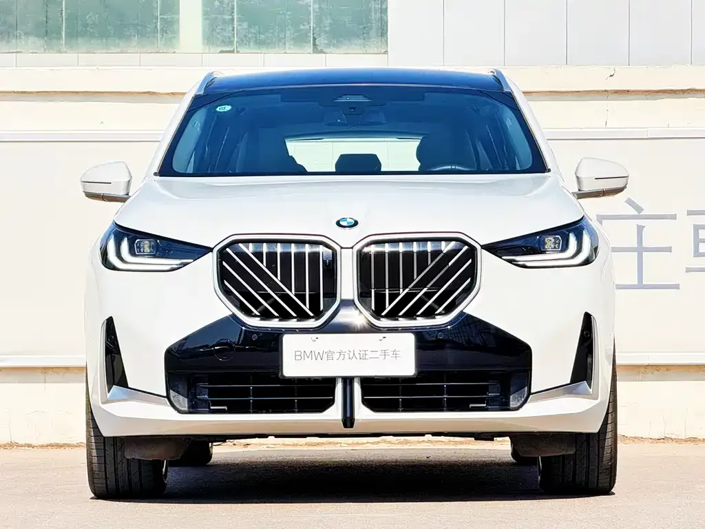 BMW X3 2025 из CN, фото 9