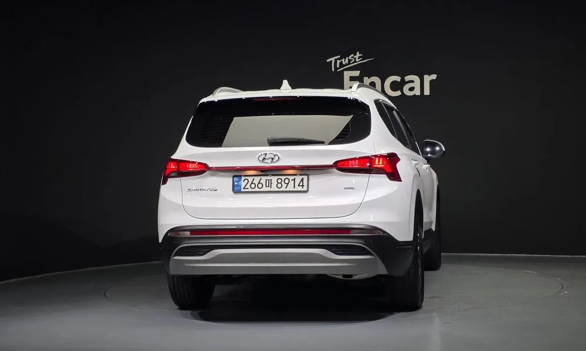 Hyundai Santafe 2022 из KR, фото 5