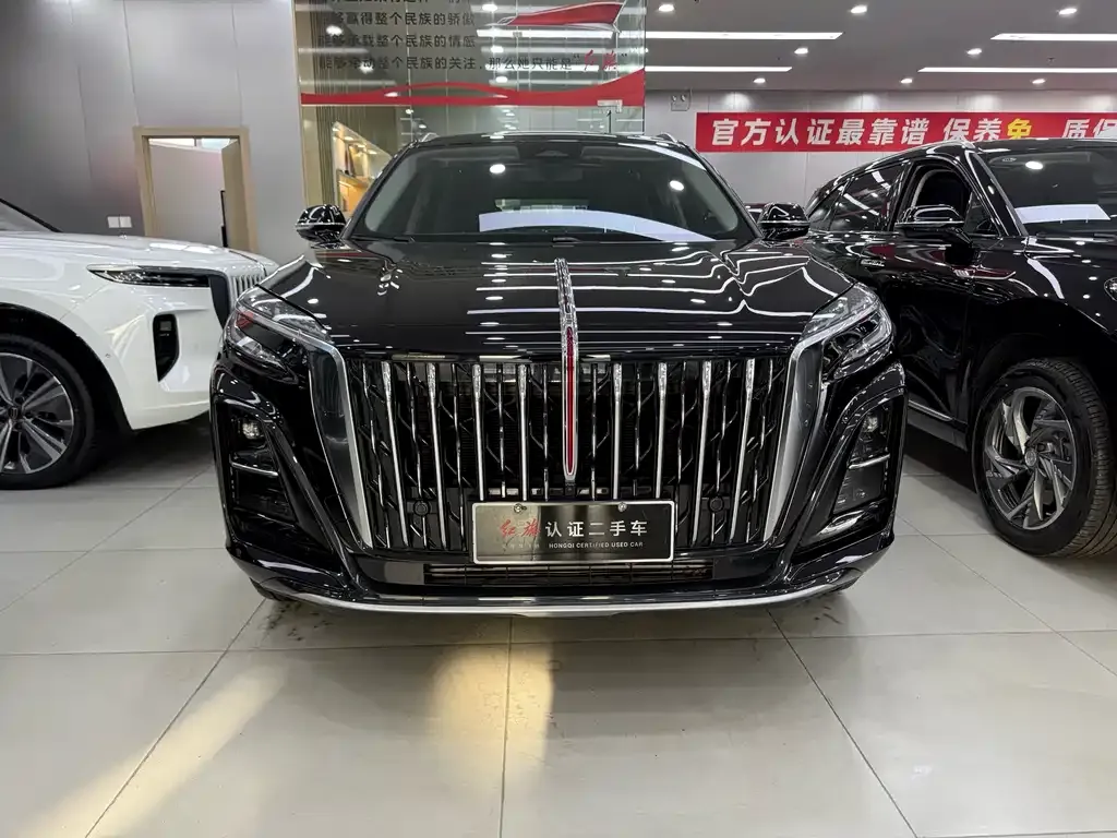 Hongqi HS3 PHEV 2025 из CN, фото 7