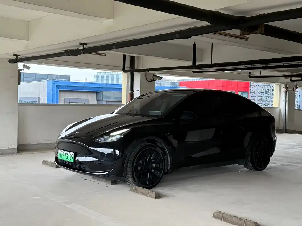 Tesla Model Y — фото 1