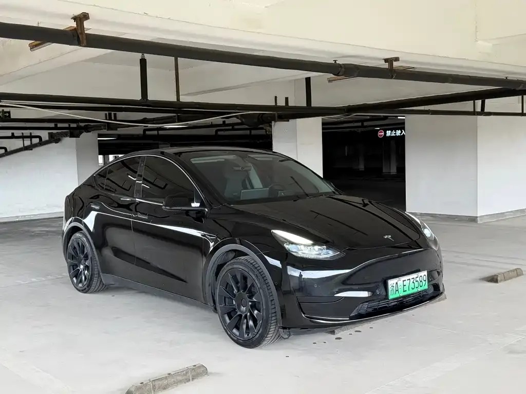 Tesla Model Y — фото 9