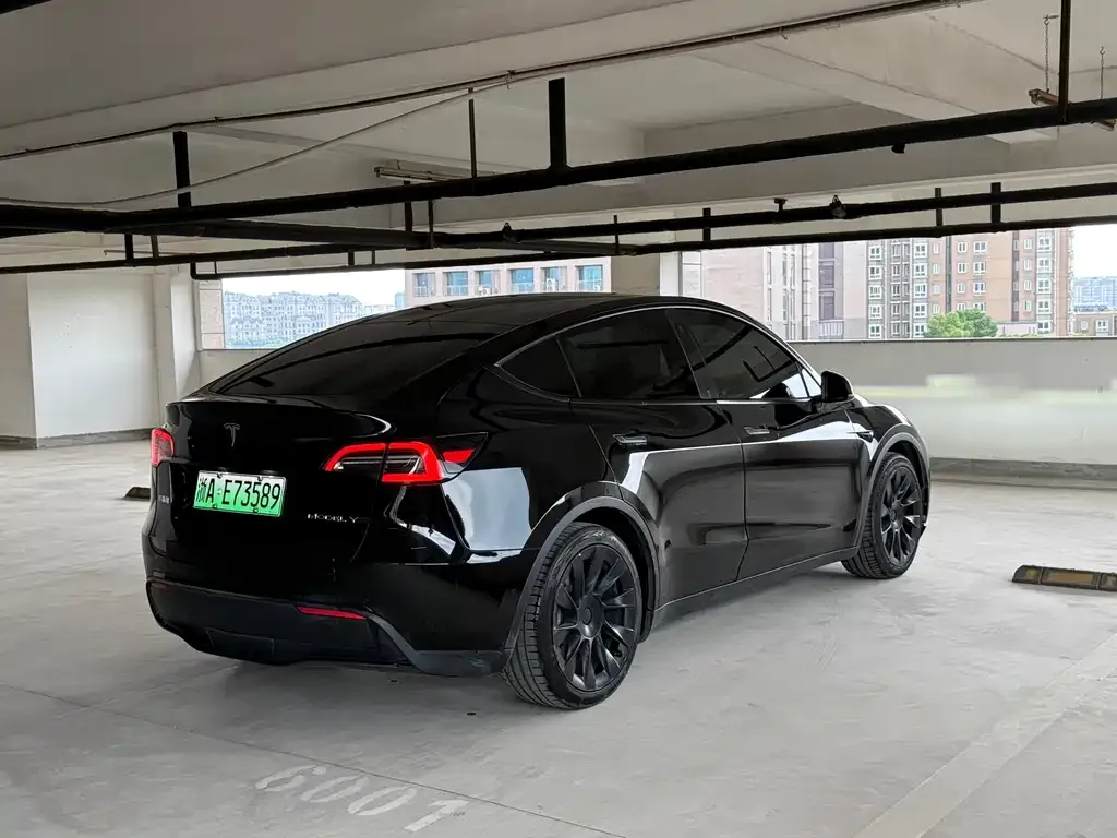 Tesla Model Y — фото 6