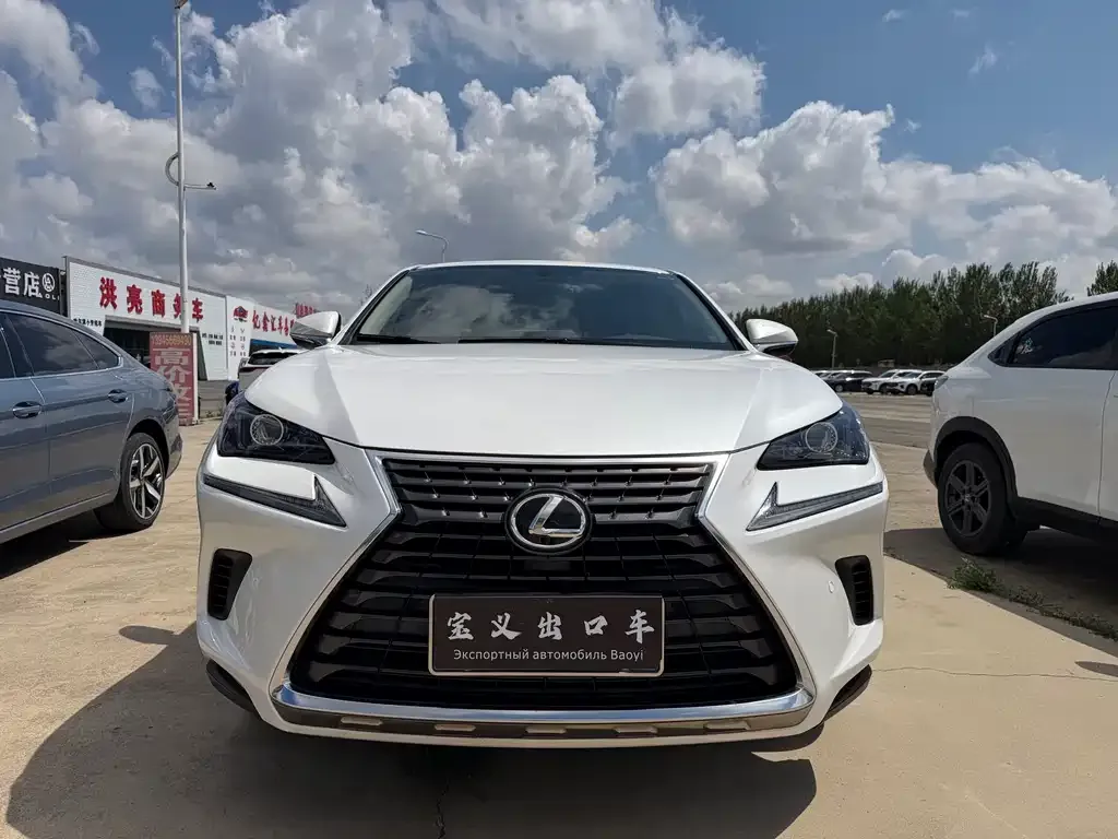 Lexus NX 2021 из CN, фото 8