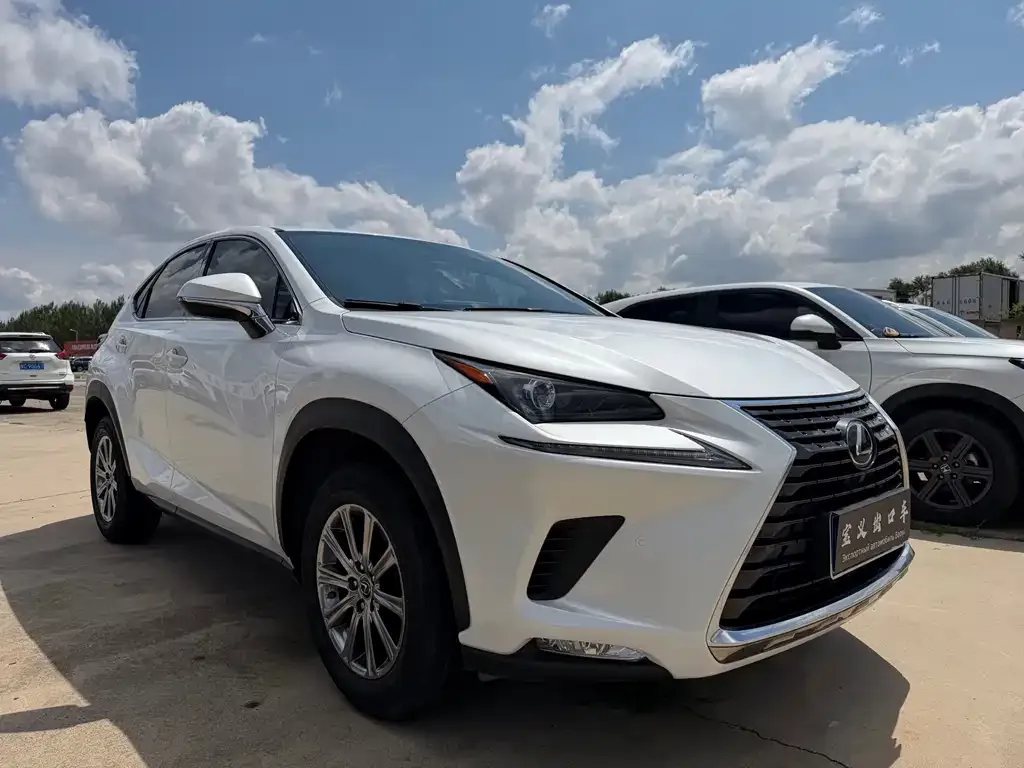 Lexus NX 2021 из CN, фото 4