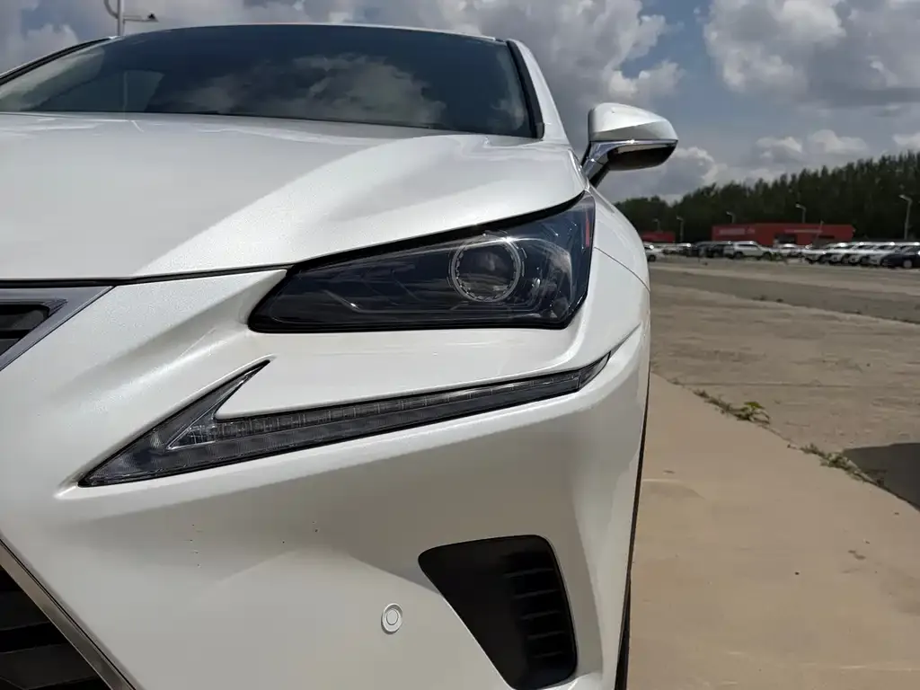 Lexus NX 2021 из CN, фото 3