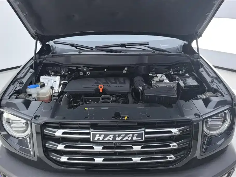 Haval Big Dog — фото 10