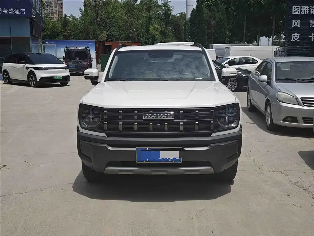Haval Cool Dog 2023 из CN, фото 5