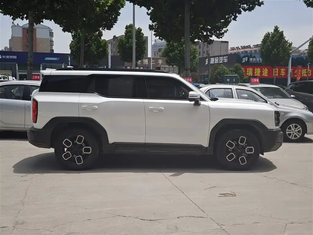 Haval Cool Dog 2023 из CN, фото 8