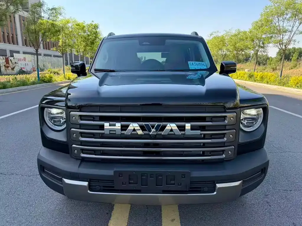 Haval Menglong New Energy 2025 из CN, фото 6