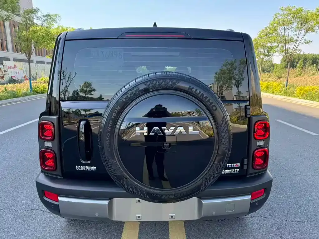 Haval Menglong New Energy 2025 из CN, фото 4