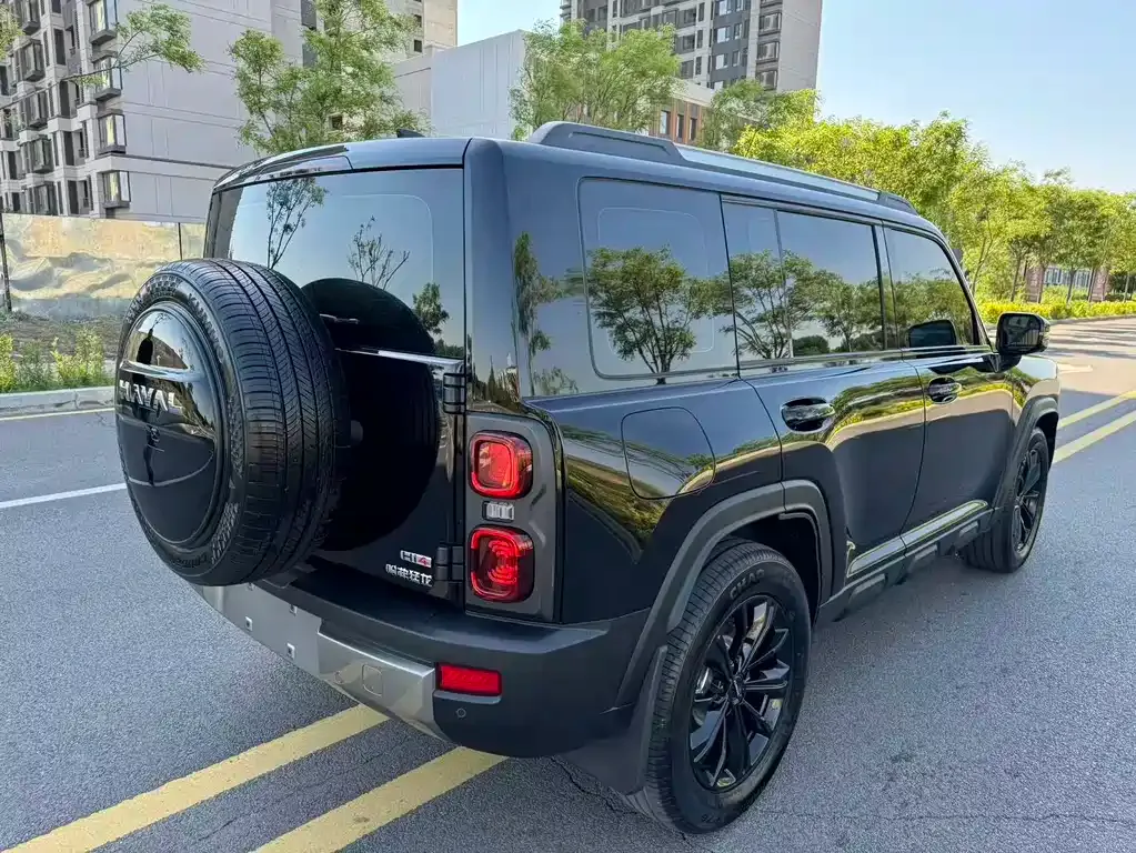 Haval Menglong New Energy 2025 из CN, фото 9