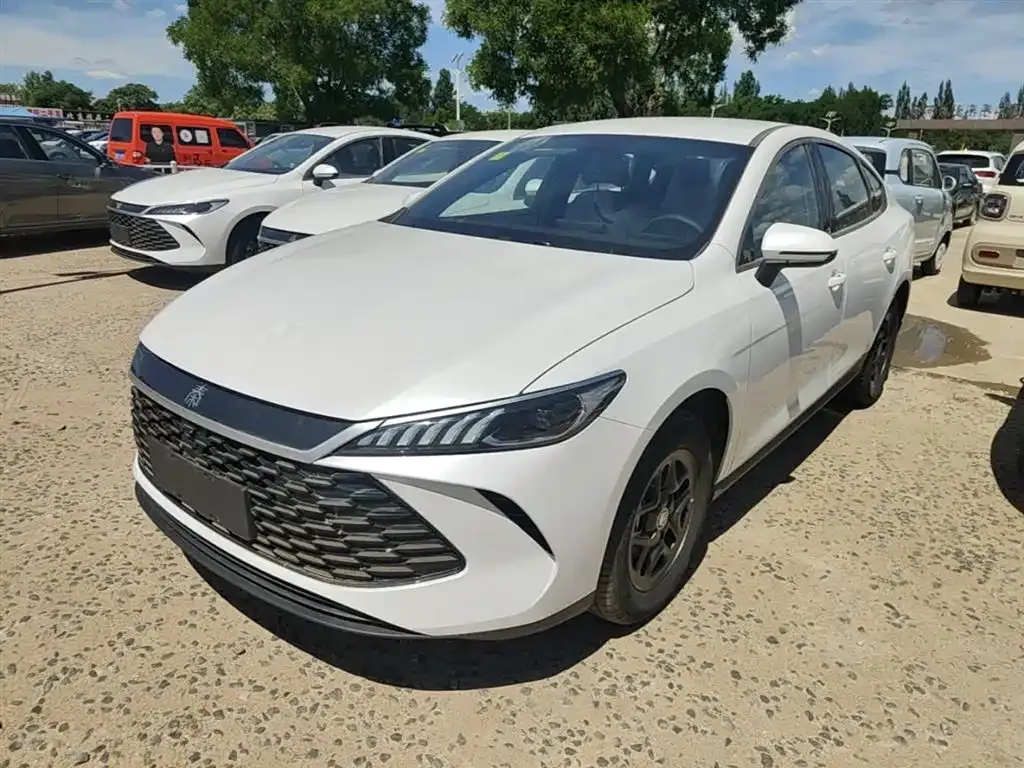 BYD Qin PLUS — фото 1