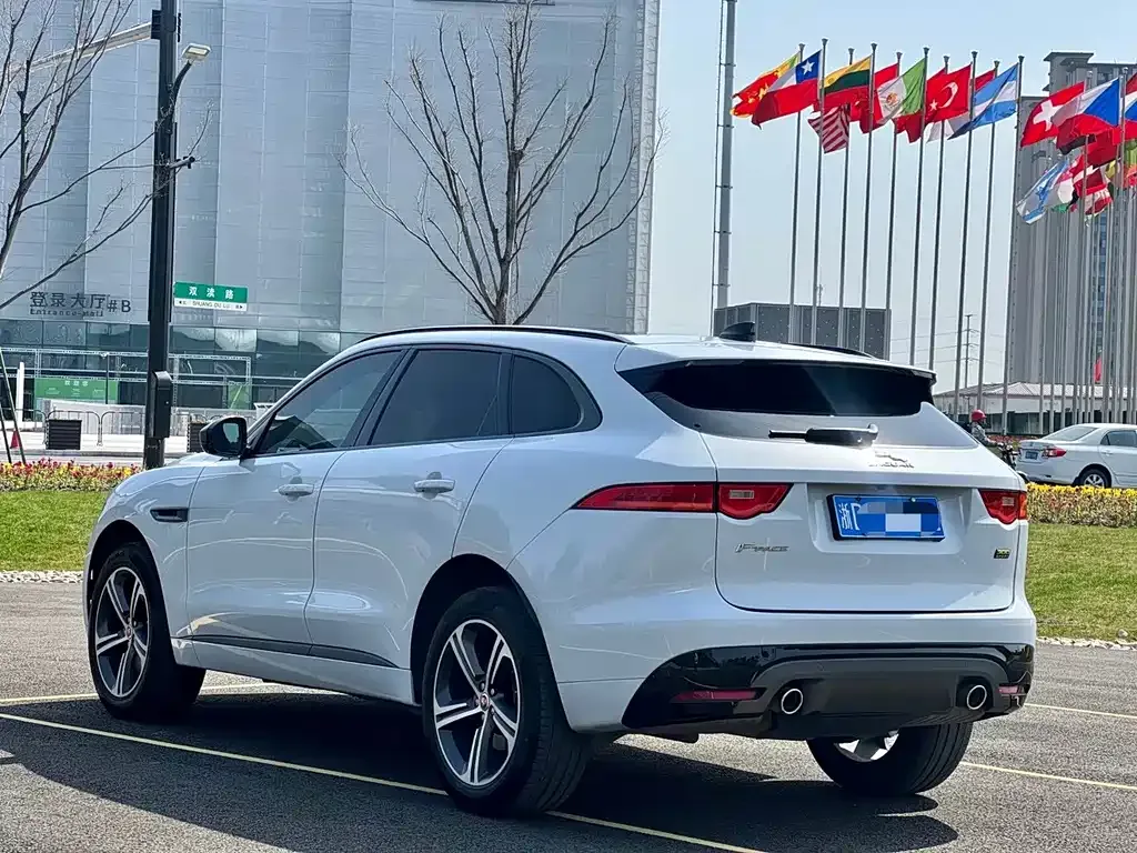 Jaguar F-PACE 2021 из CN, фото 9