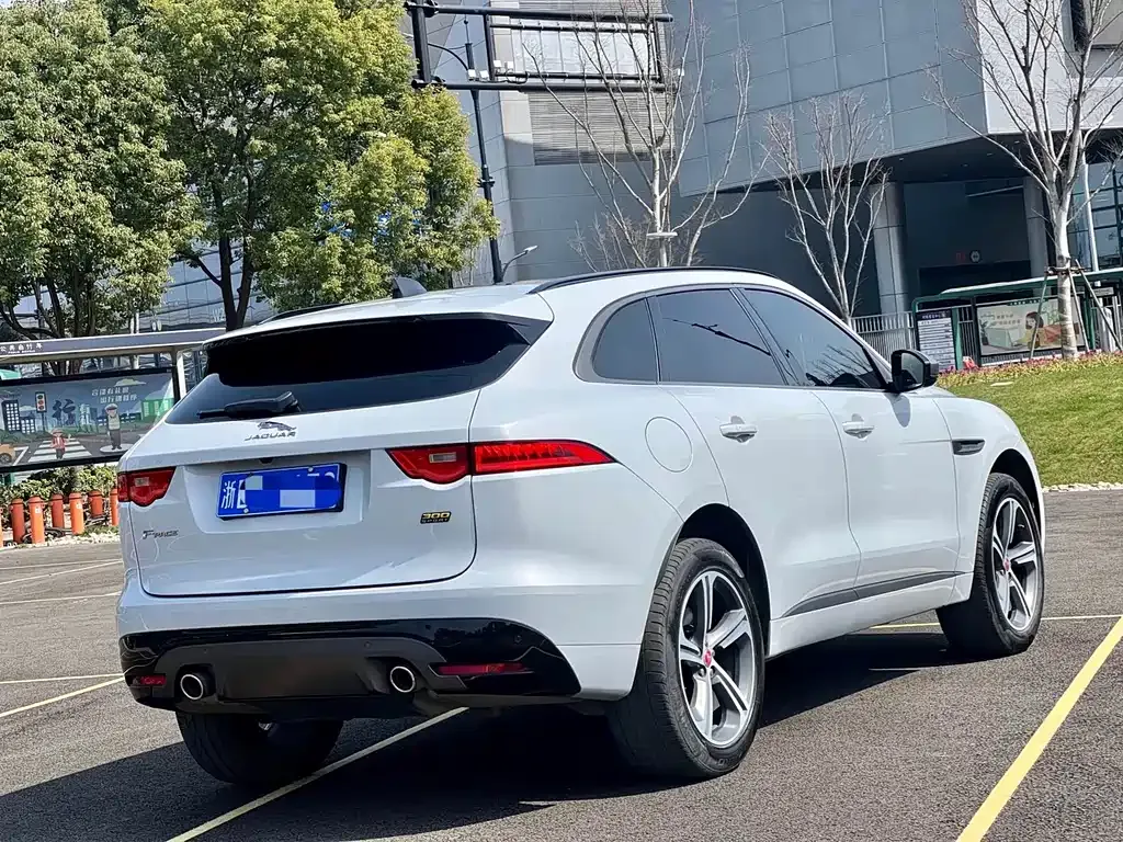 Jaguar F-PACE 2021 из CN, фото 10