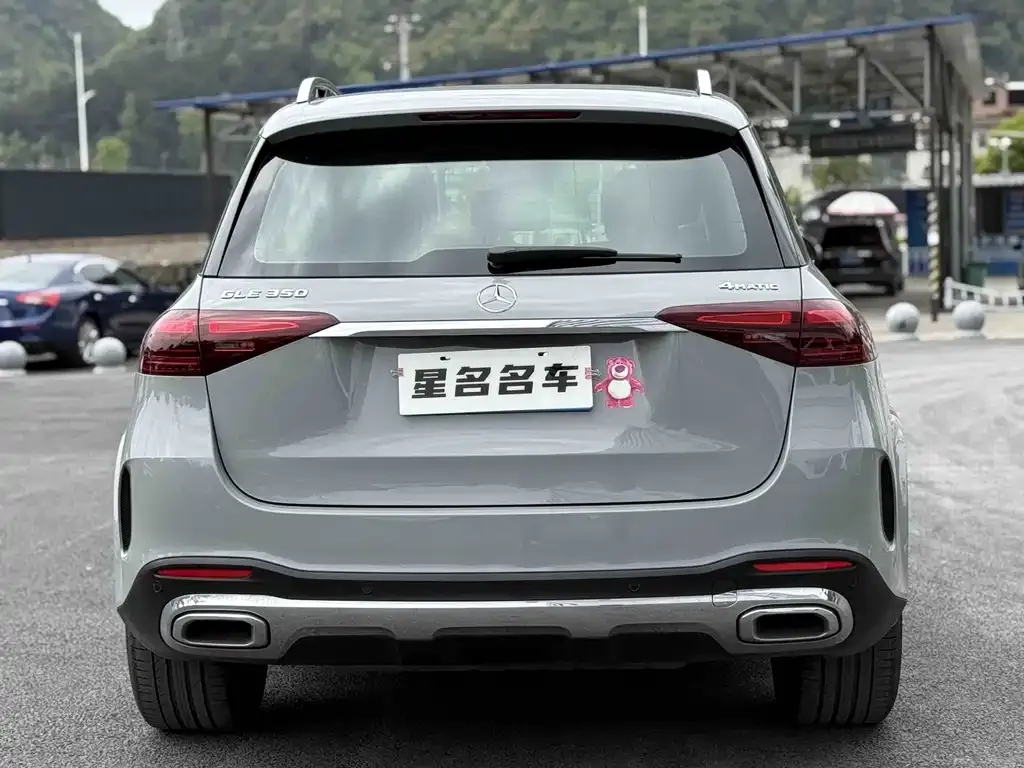 Mercedes-Benz 奔驰GLE(进口) — фото 8