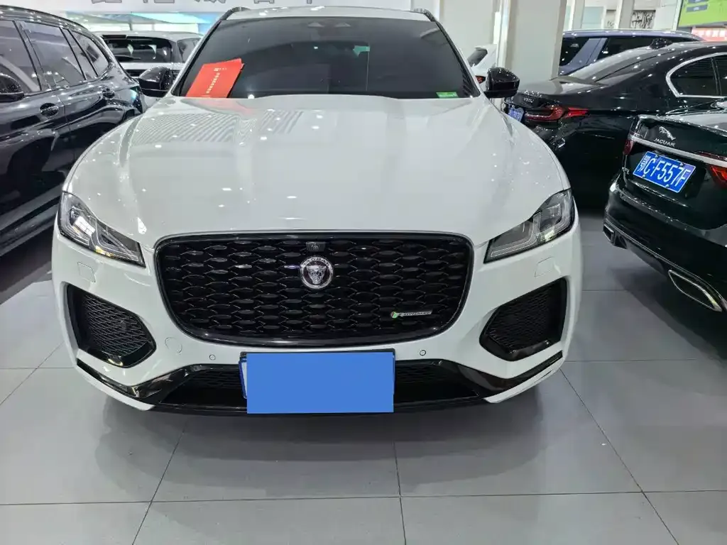 Jaguar F-PACE — фото 9