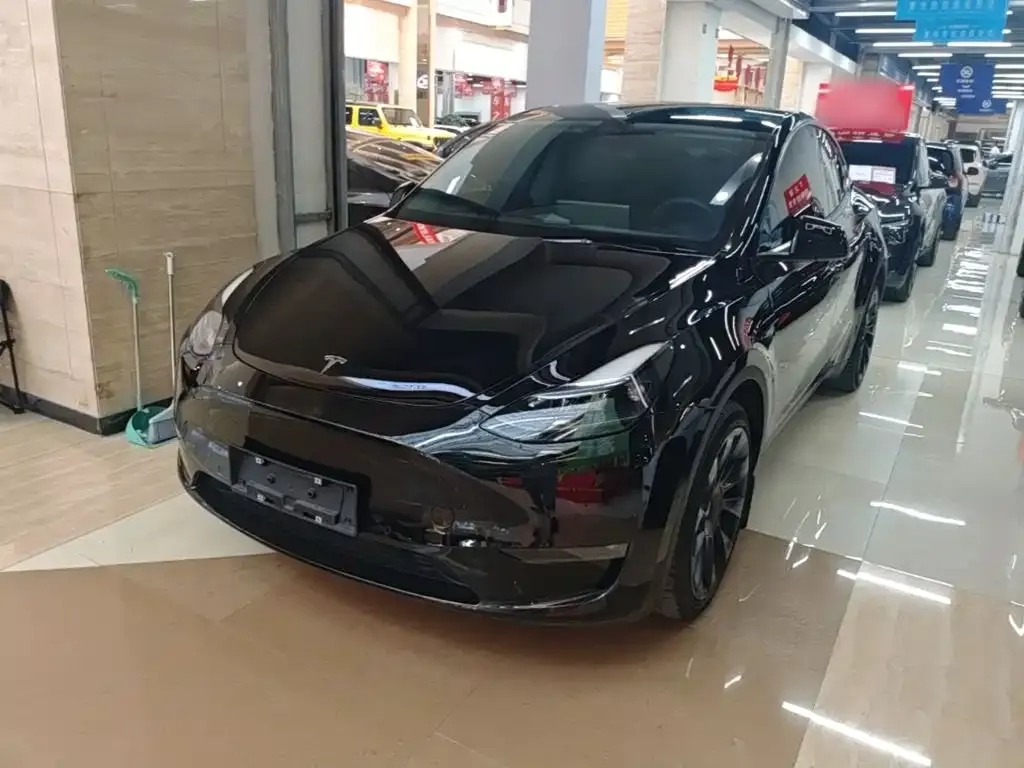 Tesla Model Y — фото 1