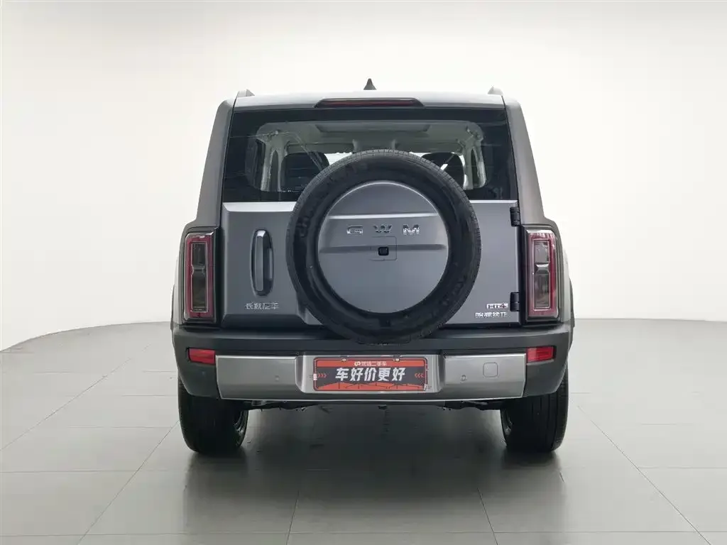 Haval Menglong New Energy 2026 из CN, фото 7