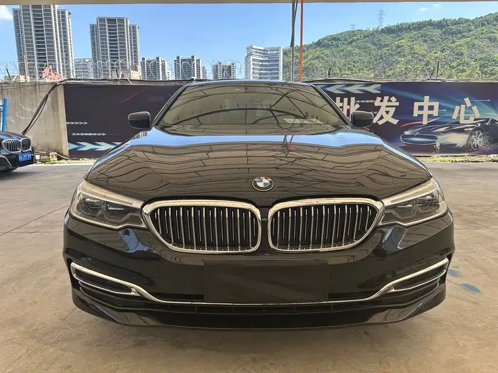 BMW 5 Series 2021 из CN, фото 6