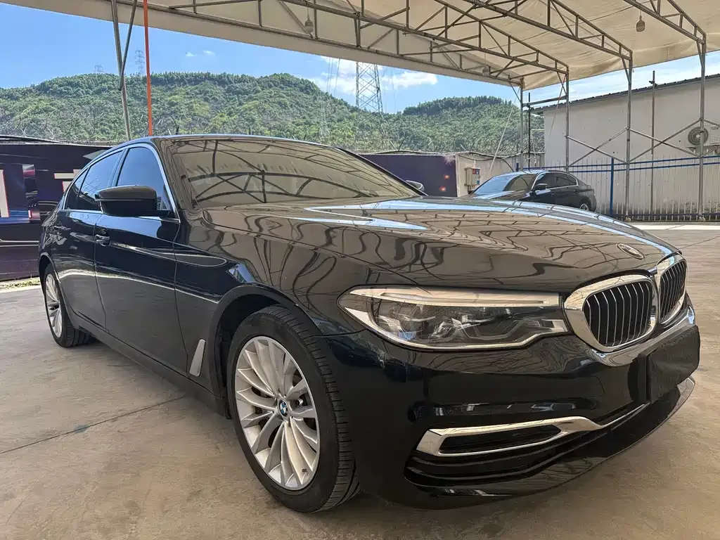 BMW 5 Series 2021 из CN, фото 7
