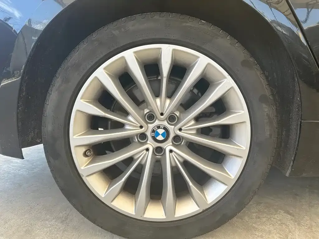 BMW 5 Series 2021 из CN, фото 4