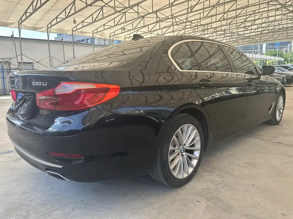 BMW 5 Series 2021 из CN, фото 5
