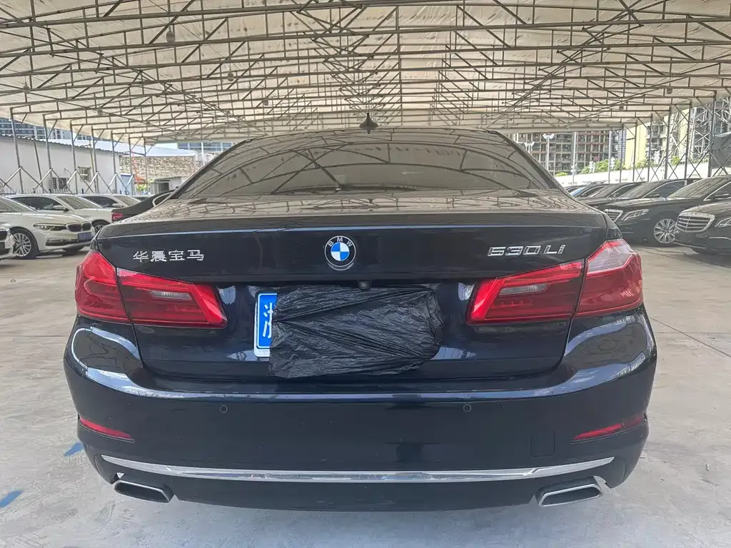 BMW 5 Series 2021 из CN, фото 8