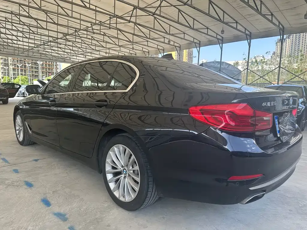 BMW 5 Series 2021 из CN, фото 9