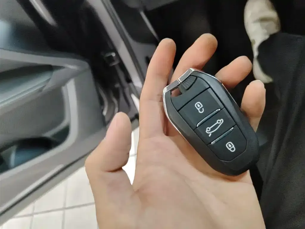Peugeot 4008 2024 из CN, фото 2